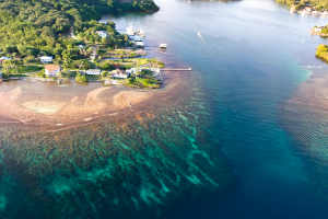 Honduras Island View