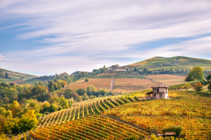 Italy Landscape View