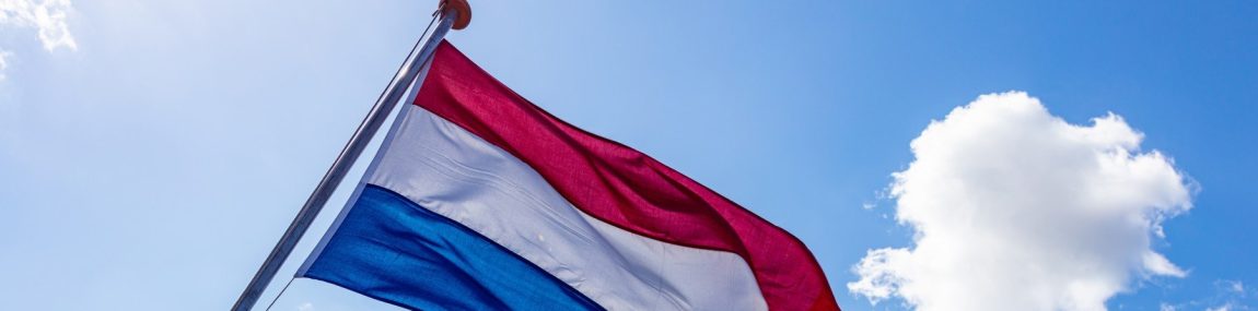 Navigating Company Registration in the Netherlands