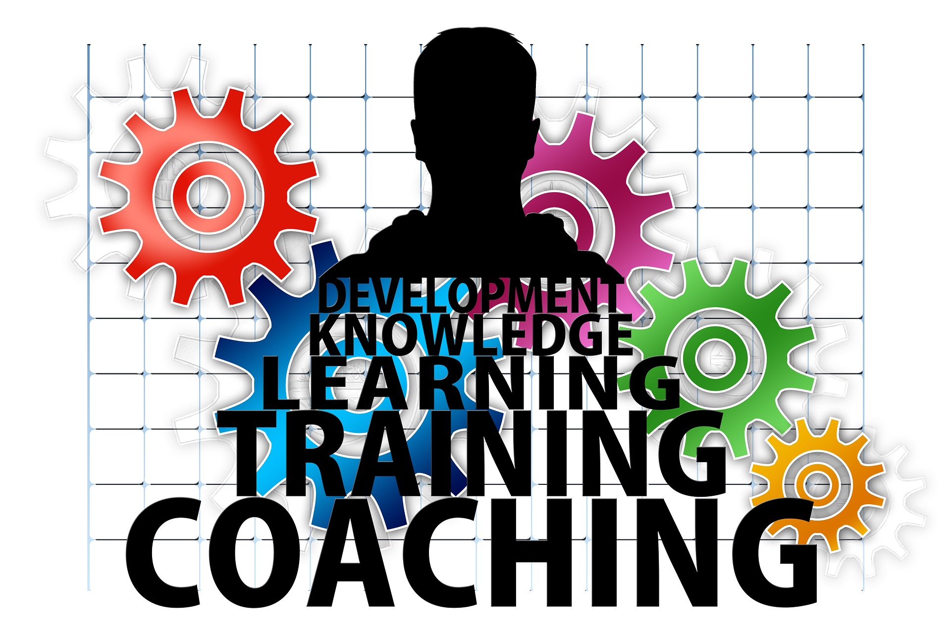development knowledge learning training coaching
