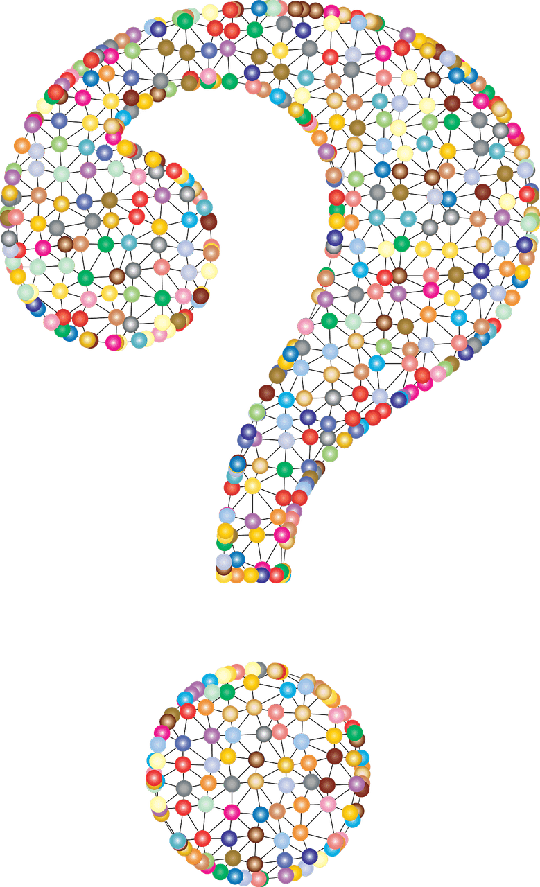 important questions leader